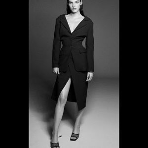 Zara high waist side cut out NWT wool  dress sexyaf pencil type skirt